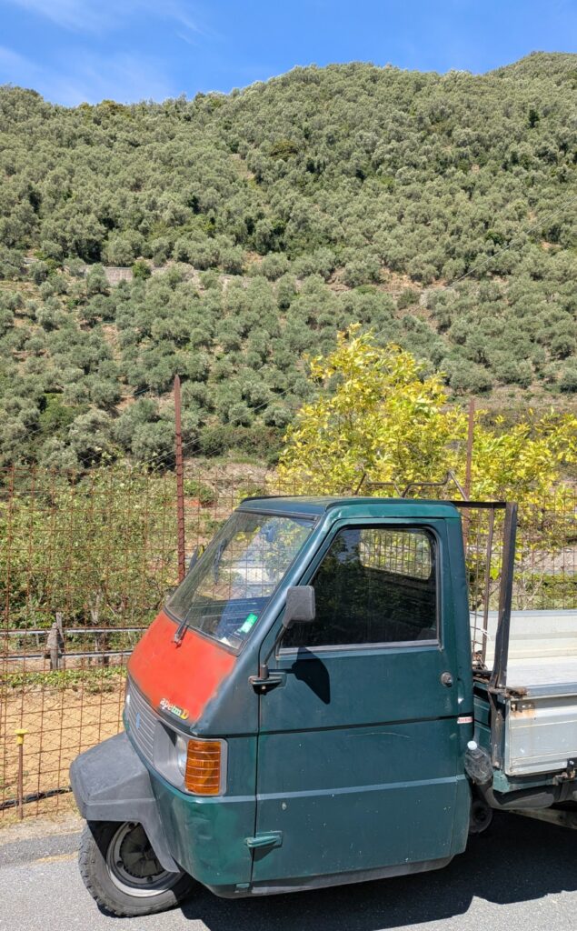 piaggio ape triporteur