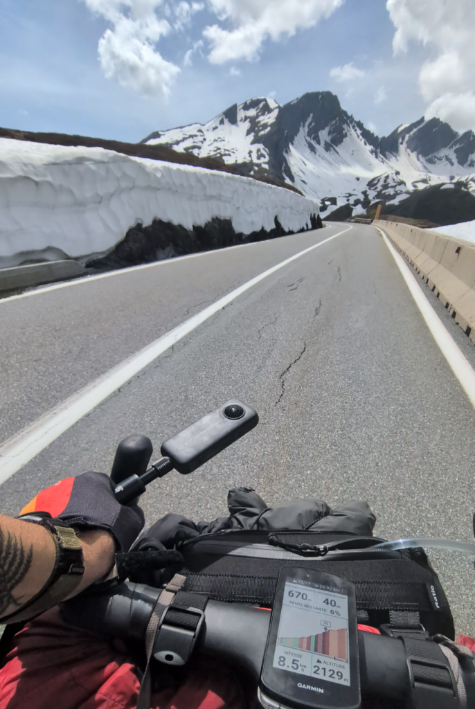 petit saint bernard onboard