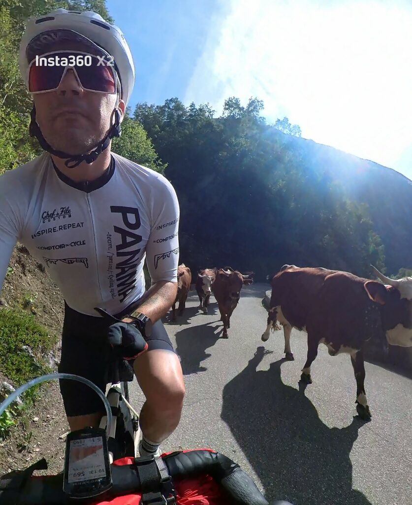 transhumance abondance