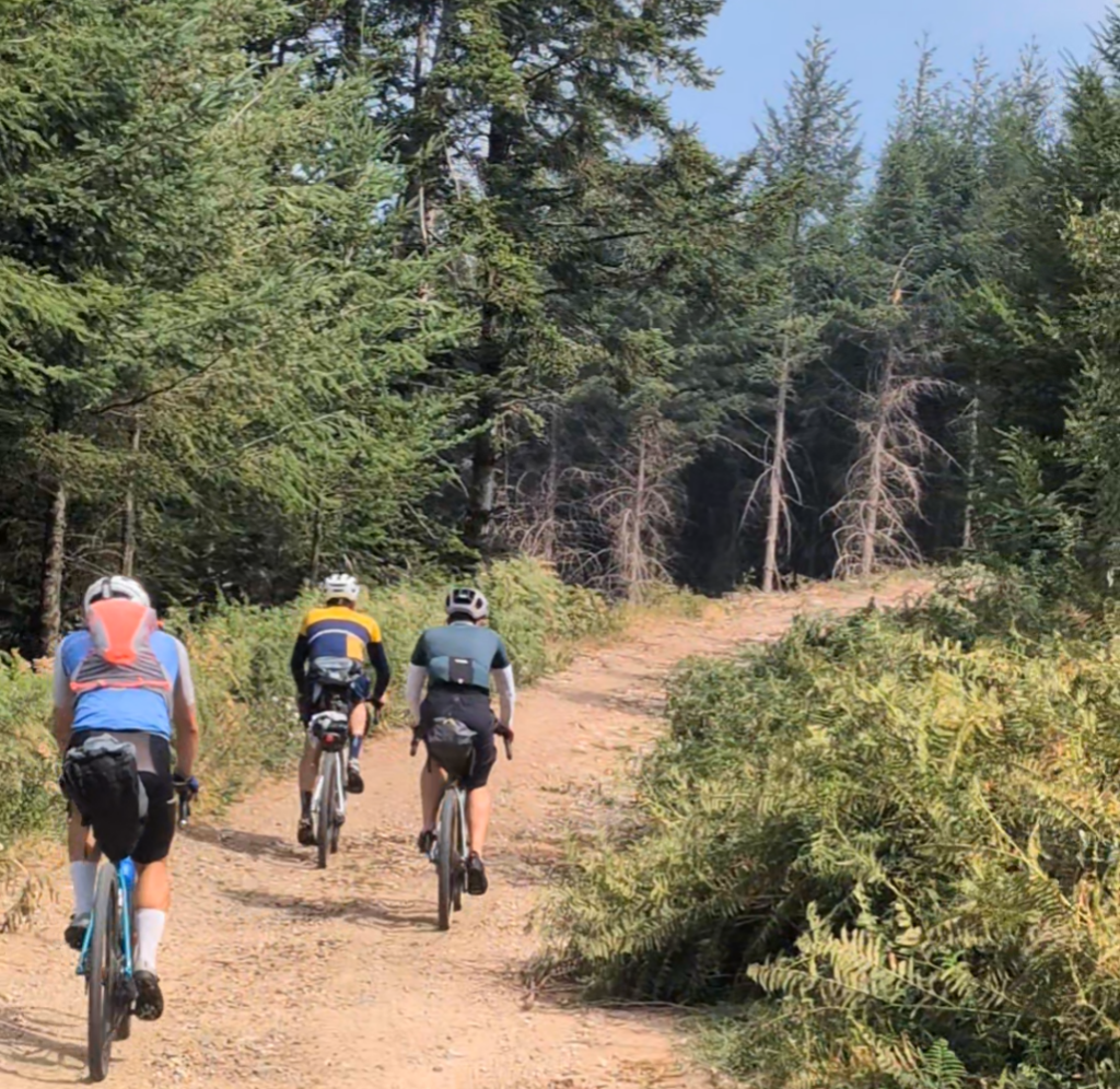 piste forestiere gravel